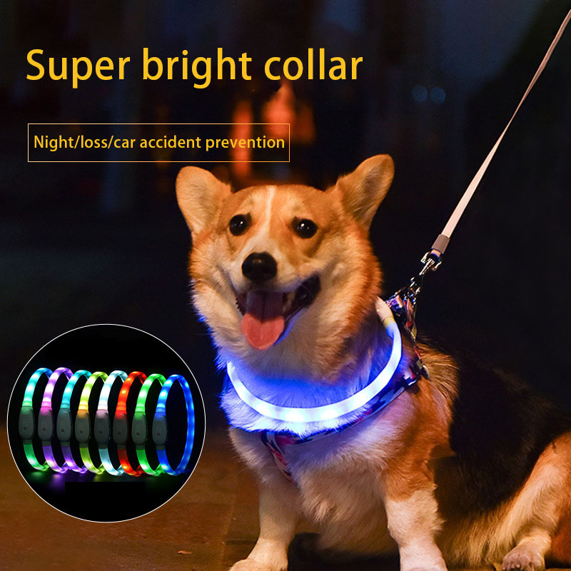 Collar luminoso para mascotas Collar para mascotas Carga USB Collar luminoso para perros Diy Collar de cuello LED Collar seguro para pasear perros