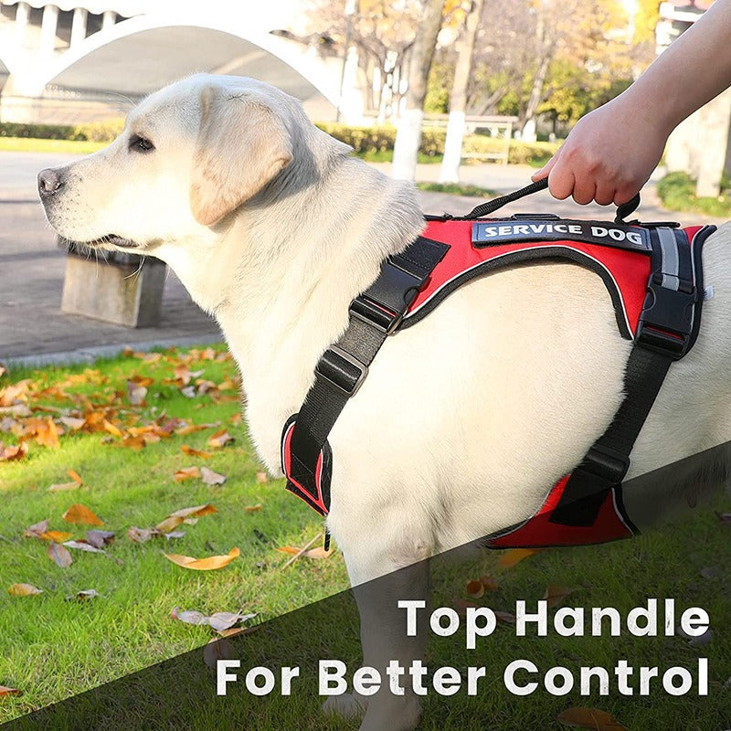 New Pet Traction Dog Explosion-Proof Punch Chest Strap Undershirt Type Reflective Pet Chest Strap