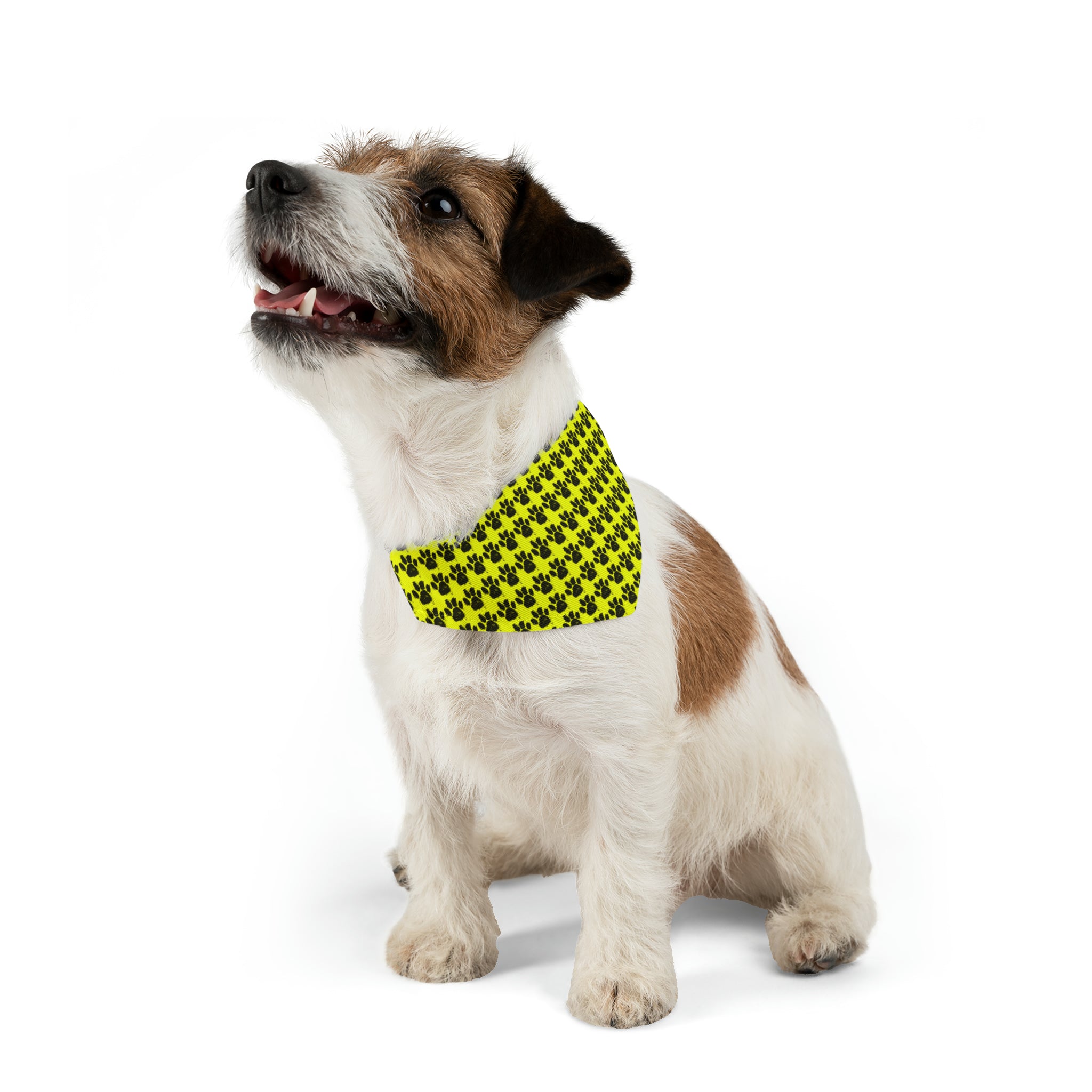 Collier bandana pour animaux de compagnie Qreative