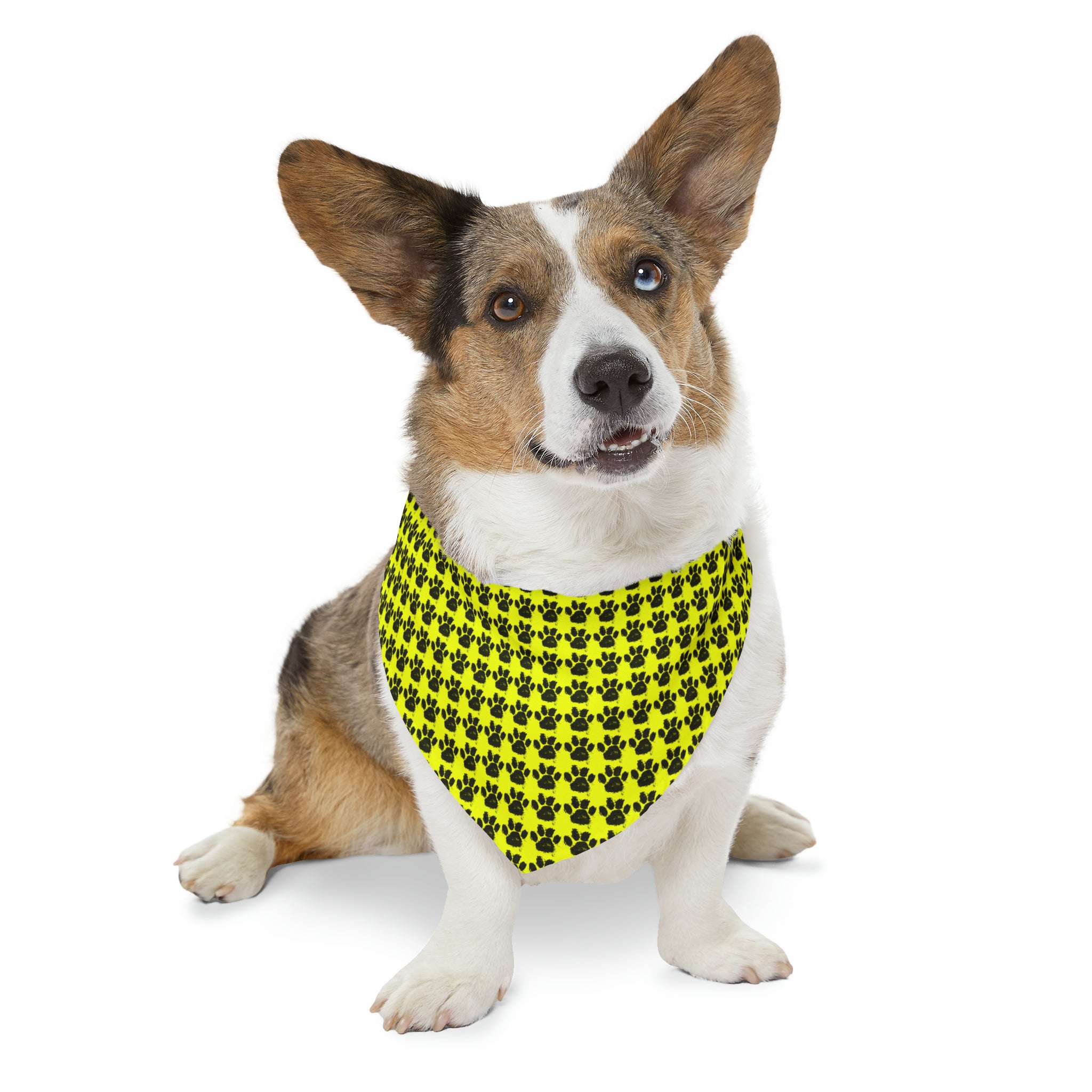 Collier bandana pour animaux de compagnie Qreative