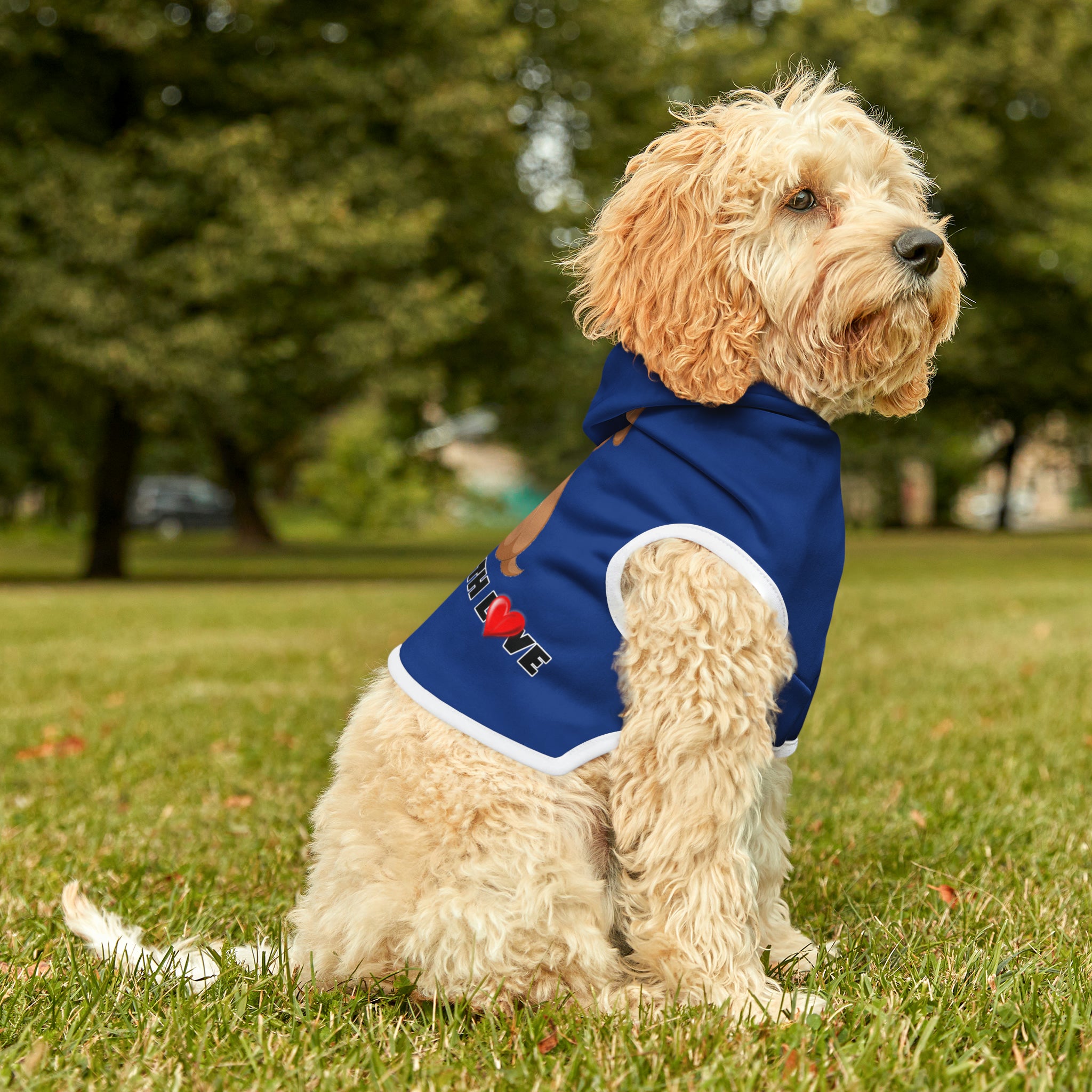 Sudadera con capucha para mascotas Dripping With Love