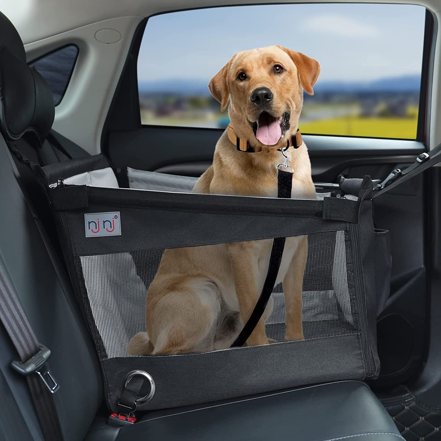 Nueva jaula para mascotas para el coche, cesta trasera para perros, cojín impermeable y antisuciedad para el coche 