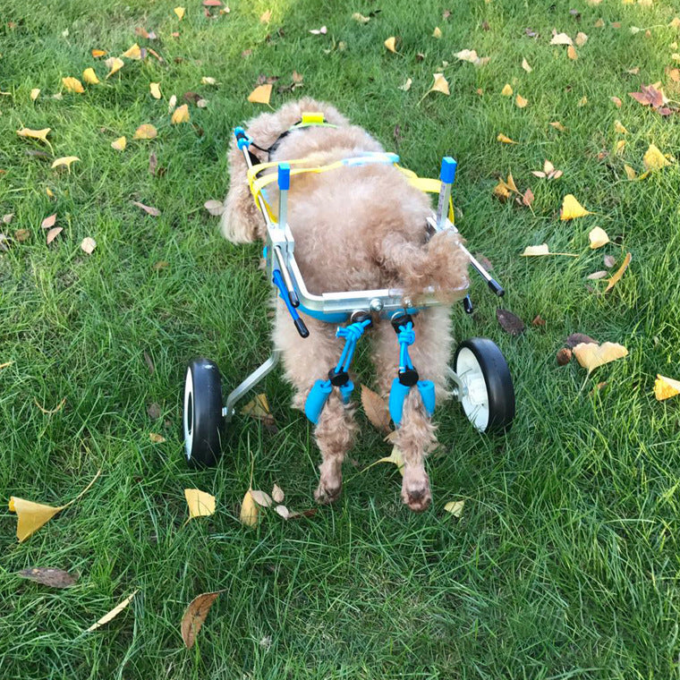 Silla de ruedas para perros Coche para perros Coche para perros discapacitados Silla de ruedas para mascotas Scooter