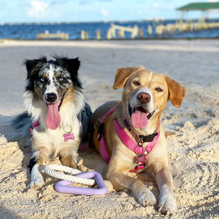 Jouet à tirer pour animal de compagnie Jouet à mâcher pour chien Jouet pour animal de compagnie TPR Jouet triangulaire pour chien interactif et amusant