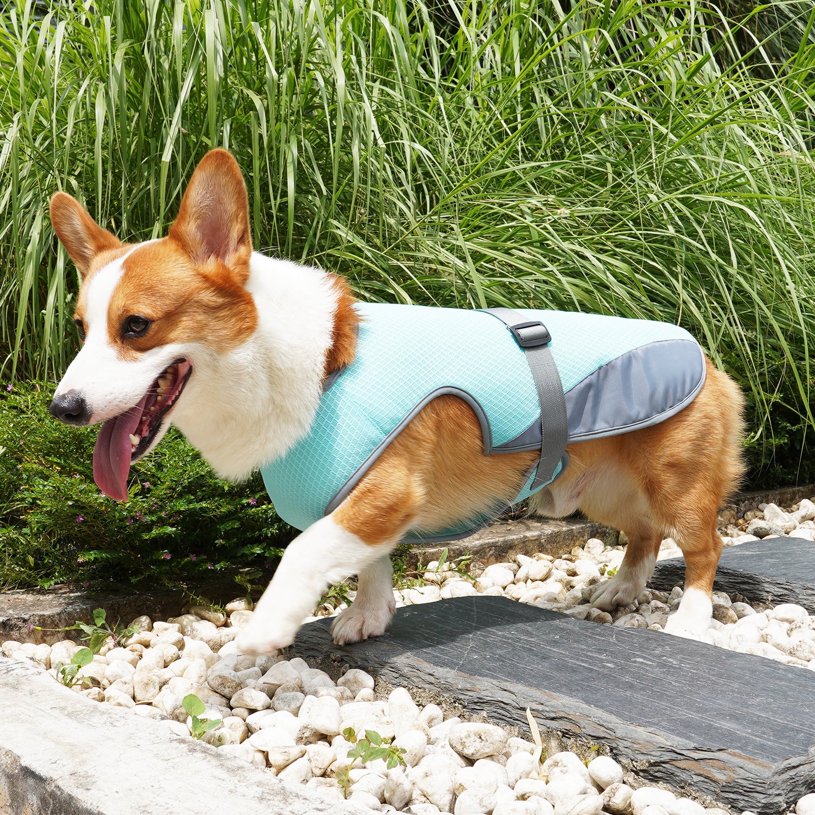 Adjustable Cooling Dog Vest Harness