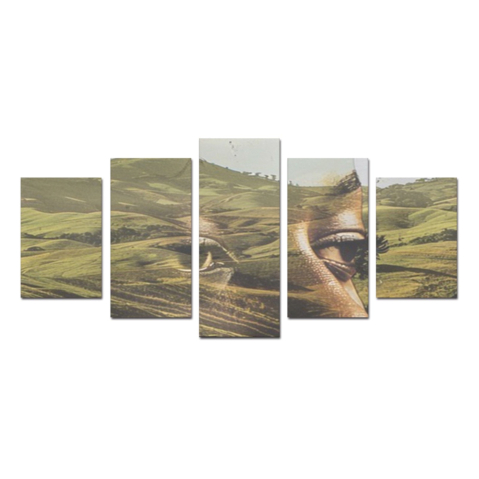 This Land Is Our Land Canvas Wall Art Prints (No Frame) 5-Pieces/Set D