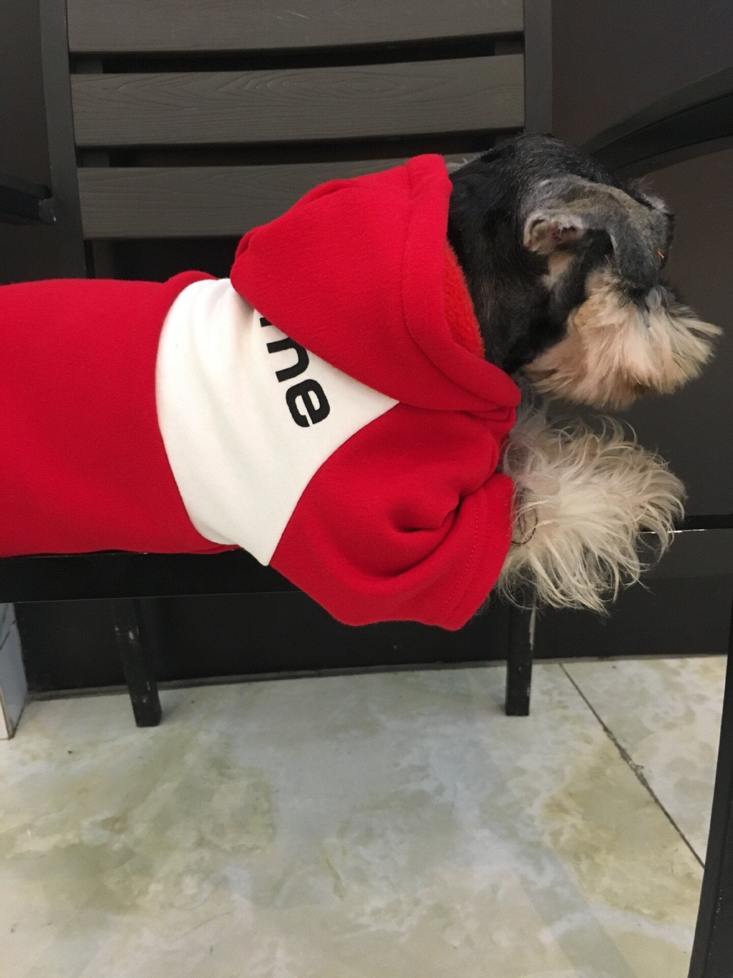 Nueva marca de moda de ropa para mascotas en otoño e invierno, ropa para cachorros, ropa para mascotas, ropa para cachorros