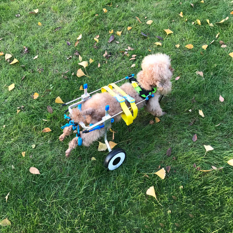 Silla de ruedas para perros Coche para perros Coche para perros discapacitados Silla de ruedas para mascotas Scooter