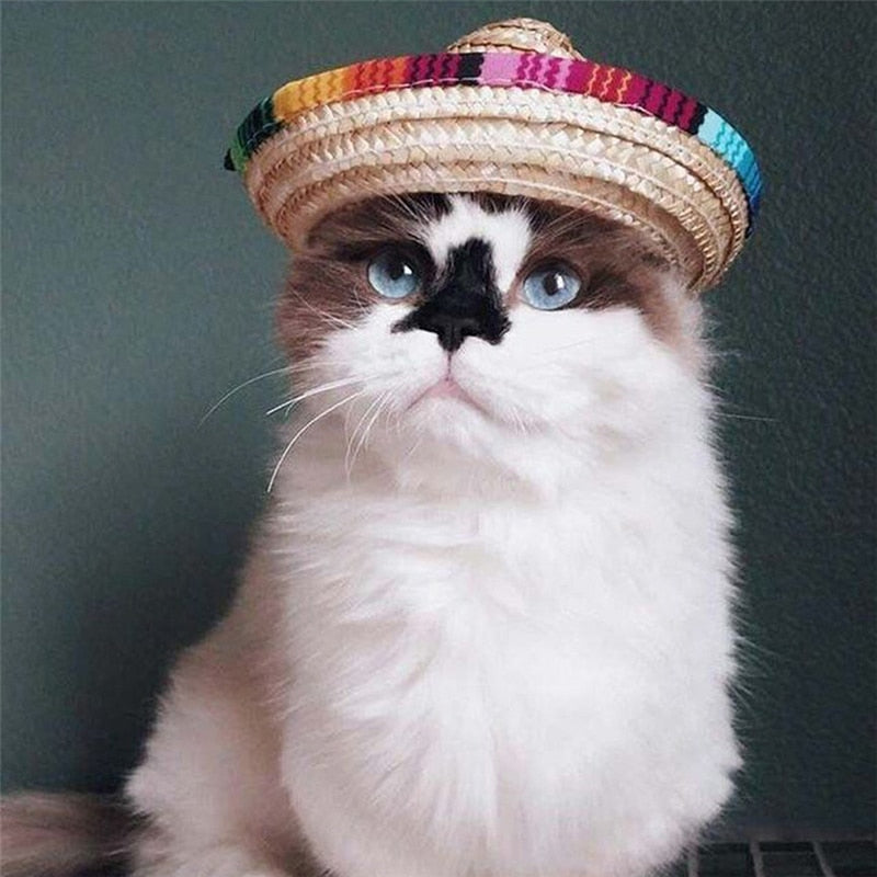 Straw Sombrero Mexican Hat Pet Adjustable Buckle Multicolor Pet Straw Dog Cat Hat