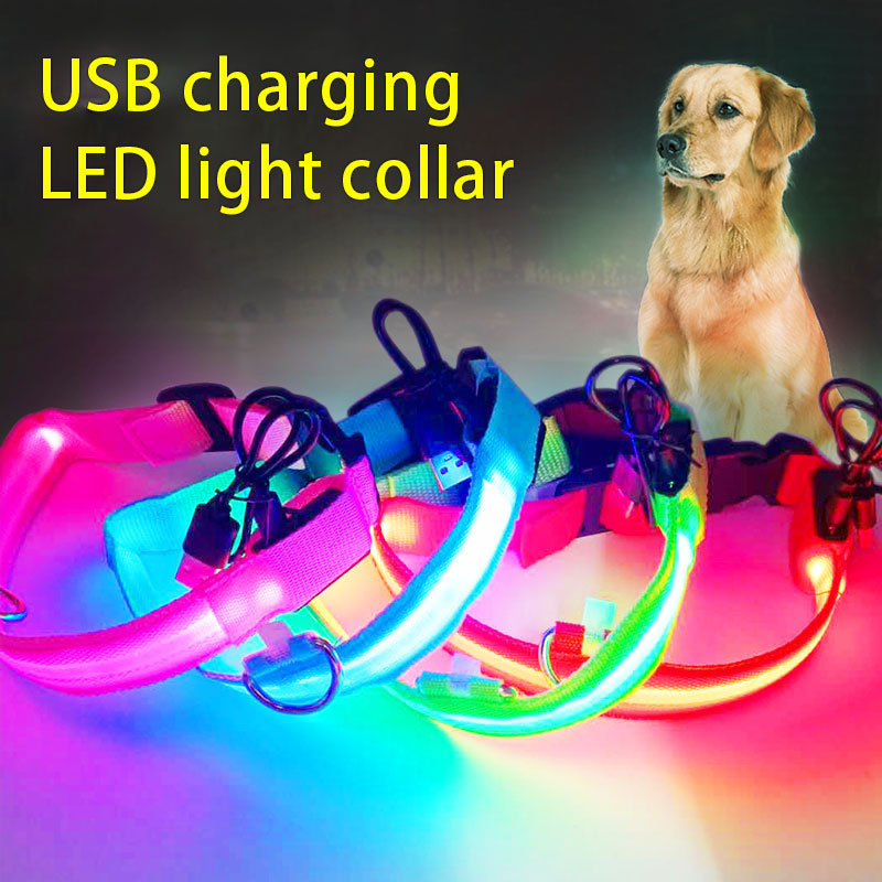 Collier LED pour animaux de compagnie, collier lumineux, ceinture pour animaux de compagnie, anneau de cou rechargeable en maille, cordon de collier pour chien rechargeable par USB, batterie