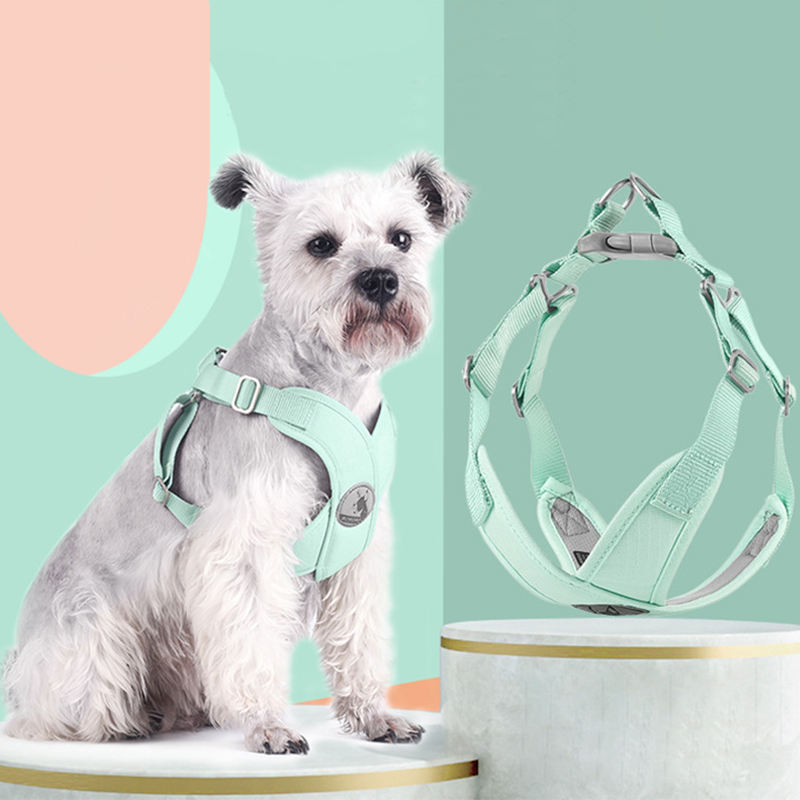 Sangle de poitrine pour animaux de compagnie, nouvelle laisse pour chien de style gilet d'été frais Macaron, fournitures pour animaux de compagnie 