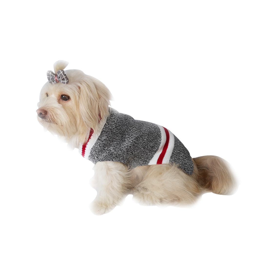 Pull pour chien Pull en tricot pour animaux de compagnie Pull pour animaux de compagnie de couleurs mélangées Vêtements pour animaux de compagnie 