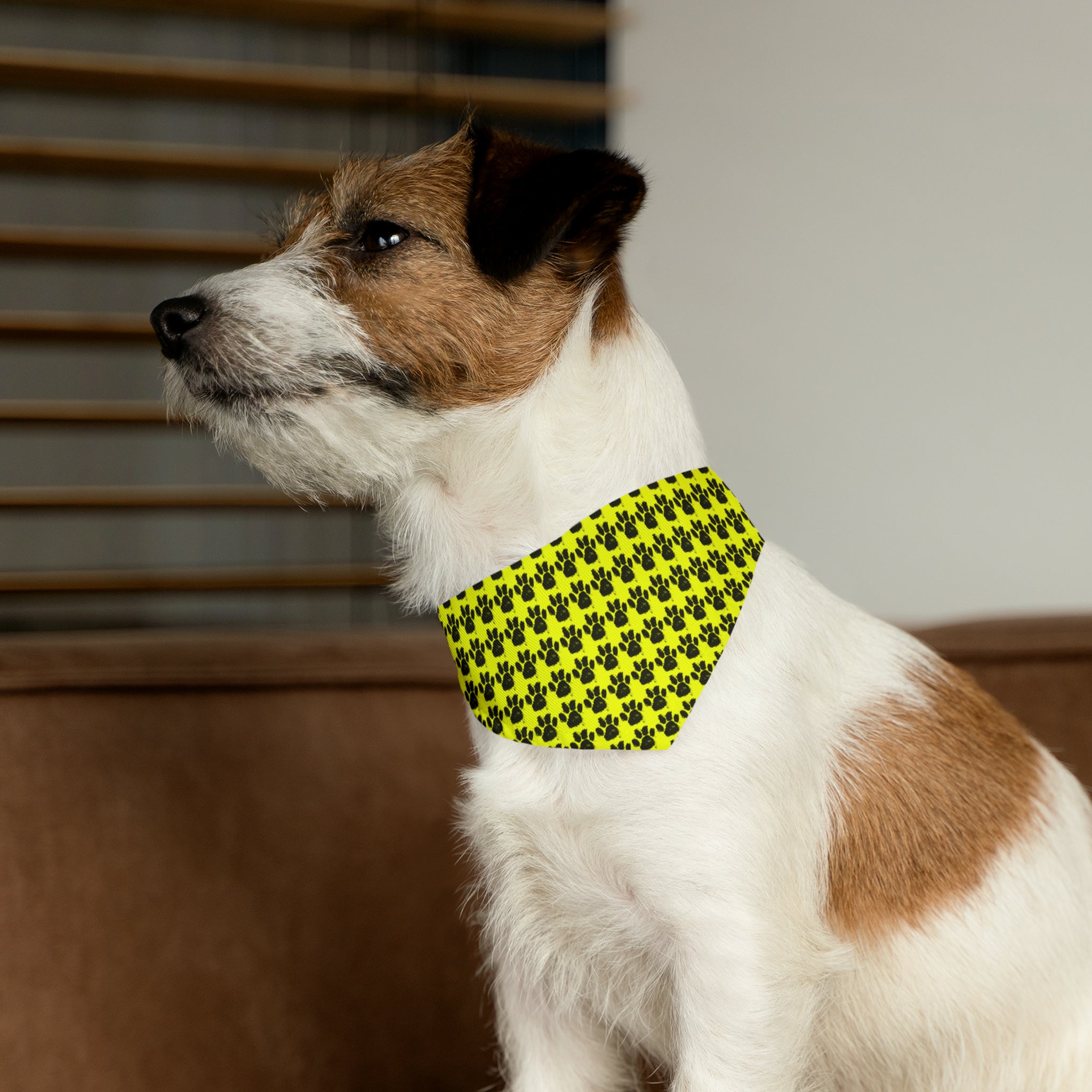 Collar bandana creativo para mascotas