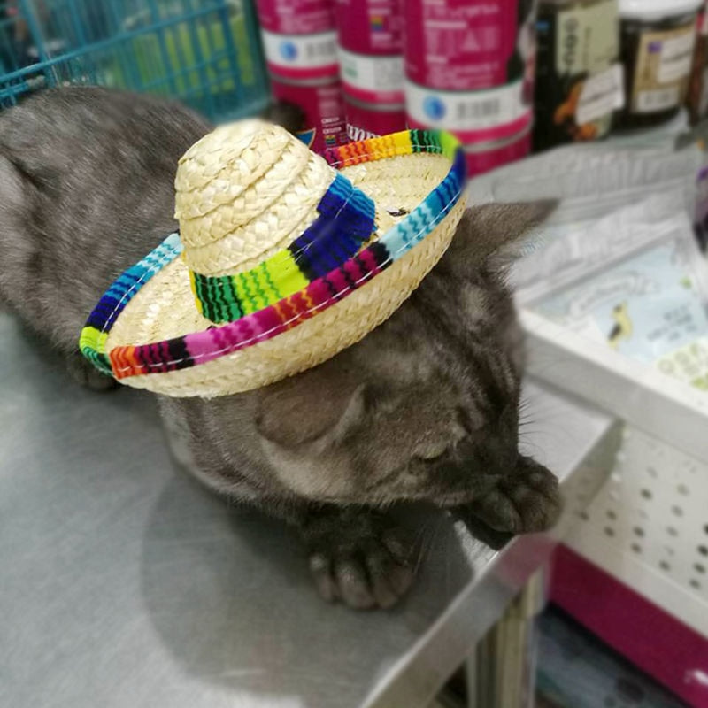 Straw Sombrero Mexican Hat Pet Adjustable Buckle Multicolor Pet Straw Dog Cat Hat