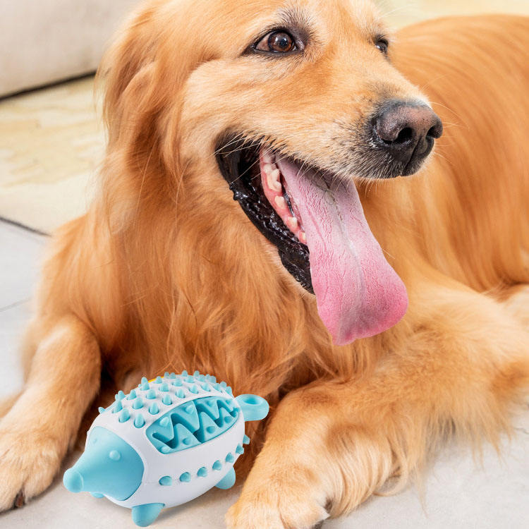 Juguete con forma de pelota antigoteo para mascotas, pelota para entrenar los dientes de los perros, juguetes para masticar para perros, juguete dispensador de comida para mascotas 