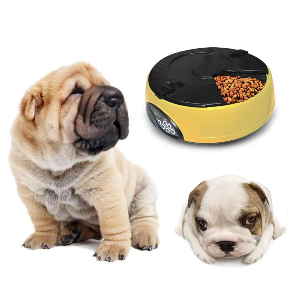 6 Meal Automatic Pet Feeding Machine - Qreatrz Fashion and Design LLC