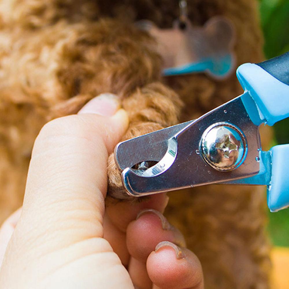 Cortaúñas para mascotas Cortaúñas de acero inoxidable Productos para mascotas Amoladora de uñas para perros 