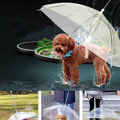 Parapluie transparent pour animaux de compagnie, imperméable pour chiots et chats, avec laisse intégrée 