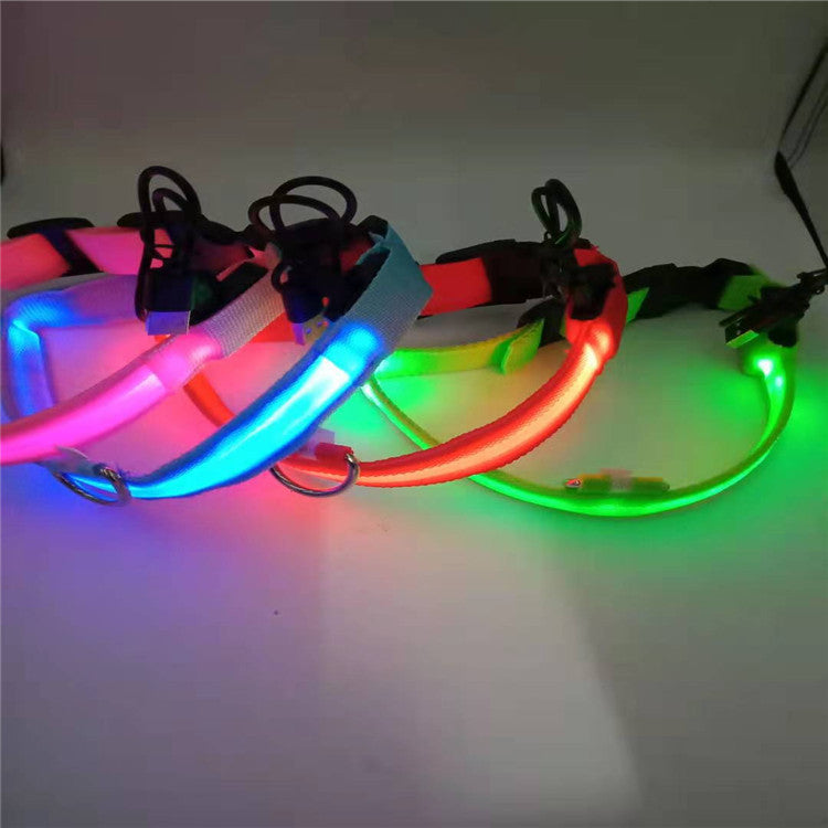 Collar LED para mascotas, collar luminoso, correa para mascotas, malla, anillo de cuello recargable, cable USB, collar para perros, batería