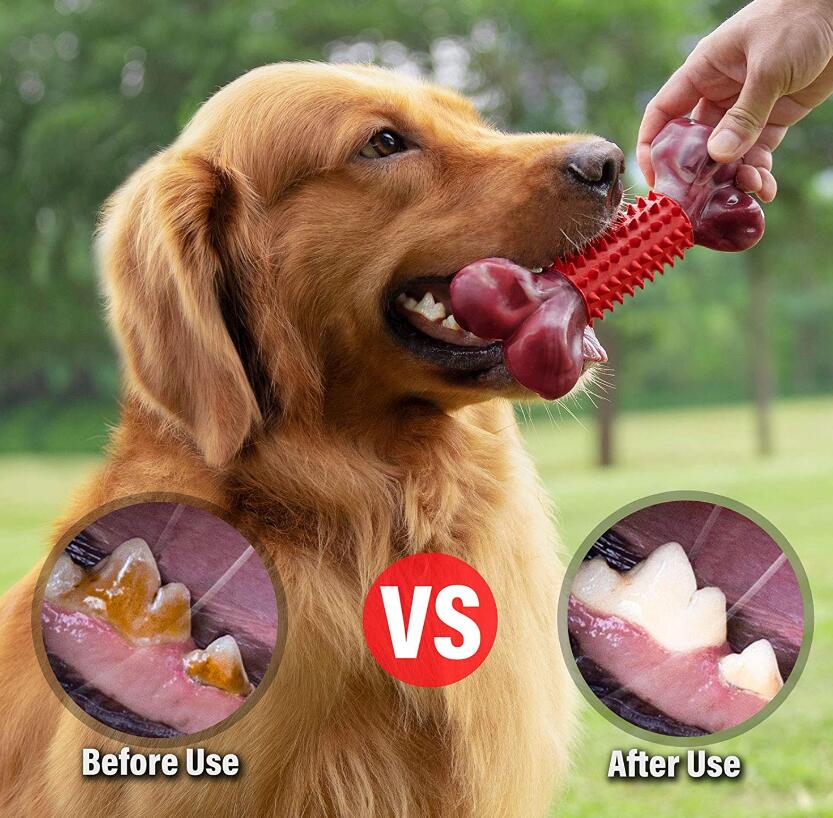 Pet Chewing Teeth Cleaning Teeth Bite Resistant Rubber Nylon Bone Pet Toy