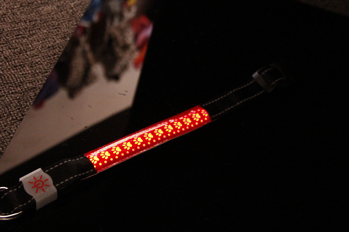 Collar para mascotas con luz LED, recargable, de cuero tallado