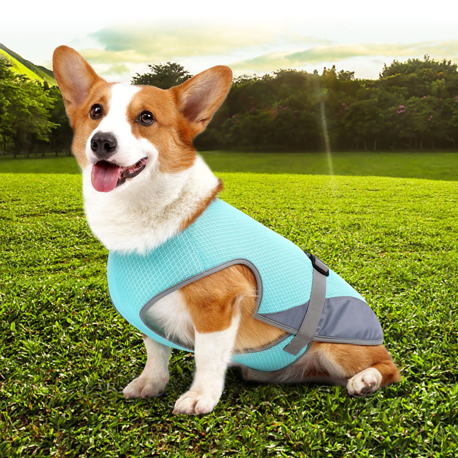 Adjustable Cooling Dog Vest Harness