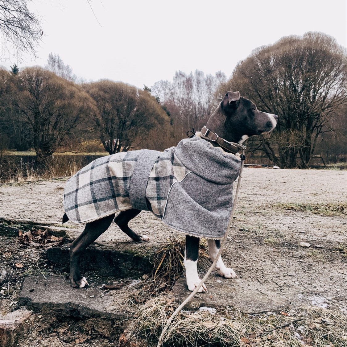 Ropa para mascotas Otoño e invierno Nueva chaqueta a cuadros Abrigo de algodón frío Suministros para mascotas