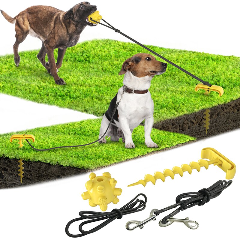 Perchas para perros para atar al aire libre y clavijas para atar correas de perros juguetes para perros Nuevos productos para mascotas juguetes para mascotas 