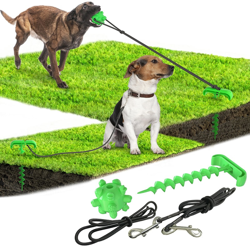 Piquets d'attache pour chien d'extérieur et piquets d'attache pour laisse de chien jouet pour chien Nouveaux produits pour animaux de compagnie jouets pour animaux de compagnie 