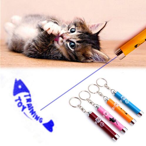 Stylo pointeur laser LED pour jouets pour animaux de compagnie