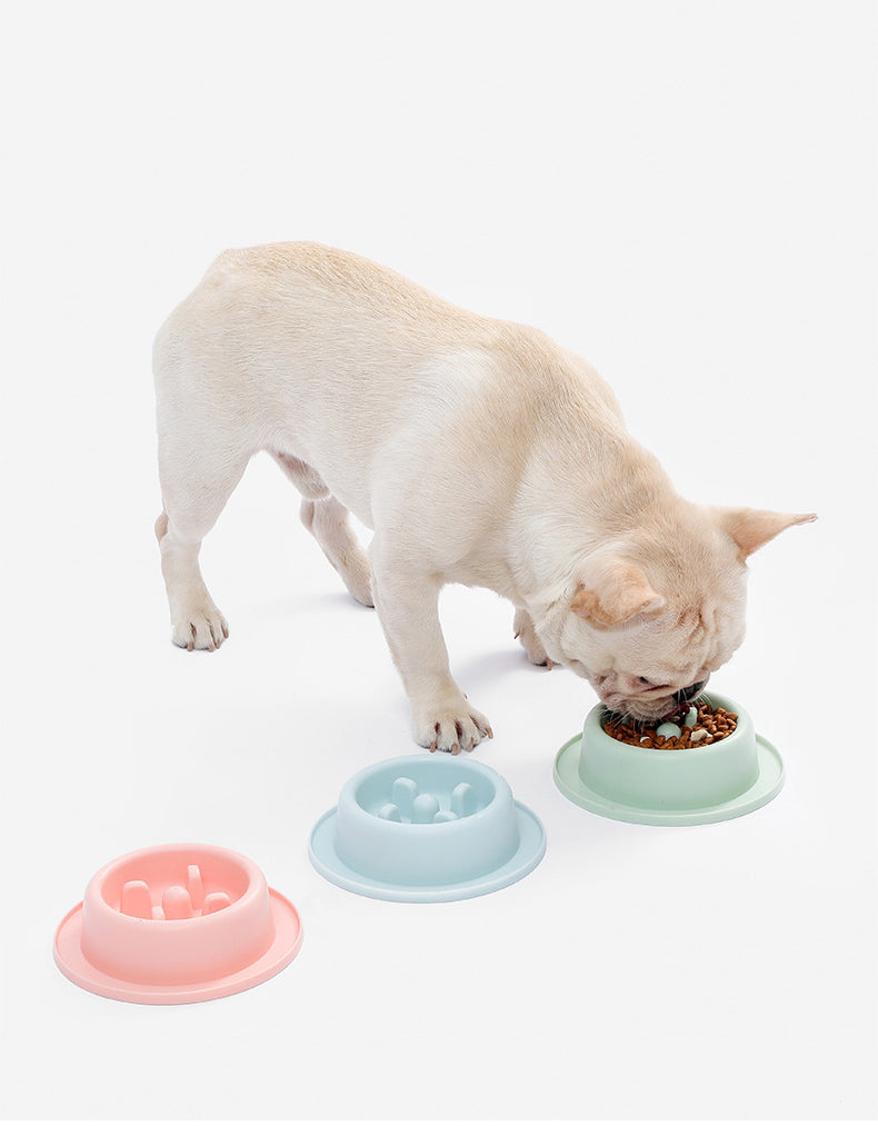 Gamelle Slow Food pour animaux de compagnie partagés entre chat et chien