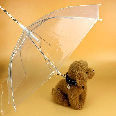 Parapluie transparent pour animaux de compagnie, imperméable pour chiots et chats, avec laisse intégrée 