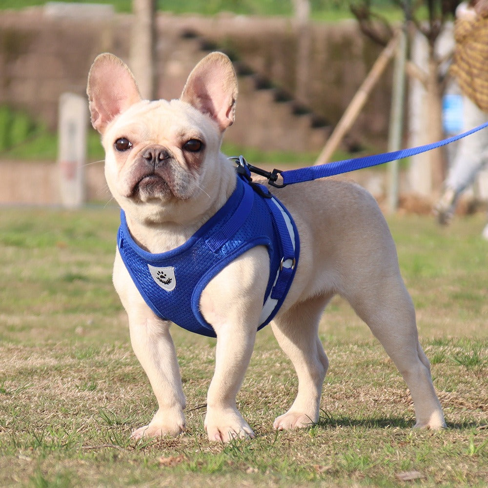 La nueva correa para el pecho para mascotas, camiseta interior, correa para perros, cuerda transpirable reflectante, suministros para mascotas