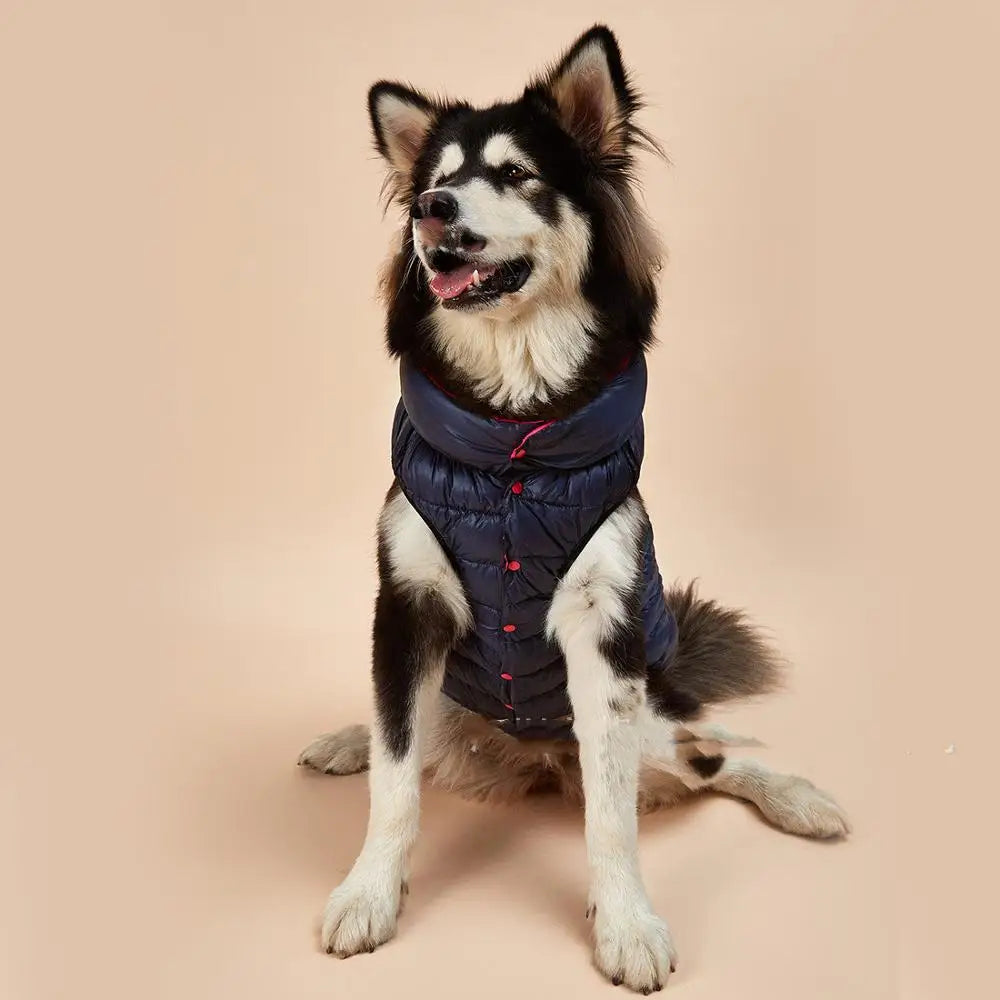 Autumn Winter New Pet Dog Clothes